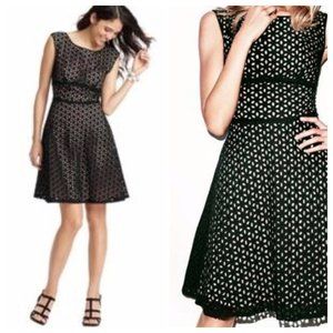loft flower eyelet cotton dress black illusion lace fit and flare mini dress 2p